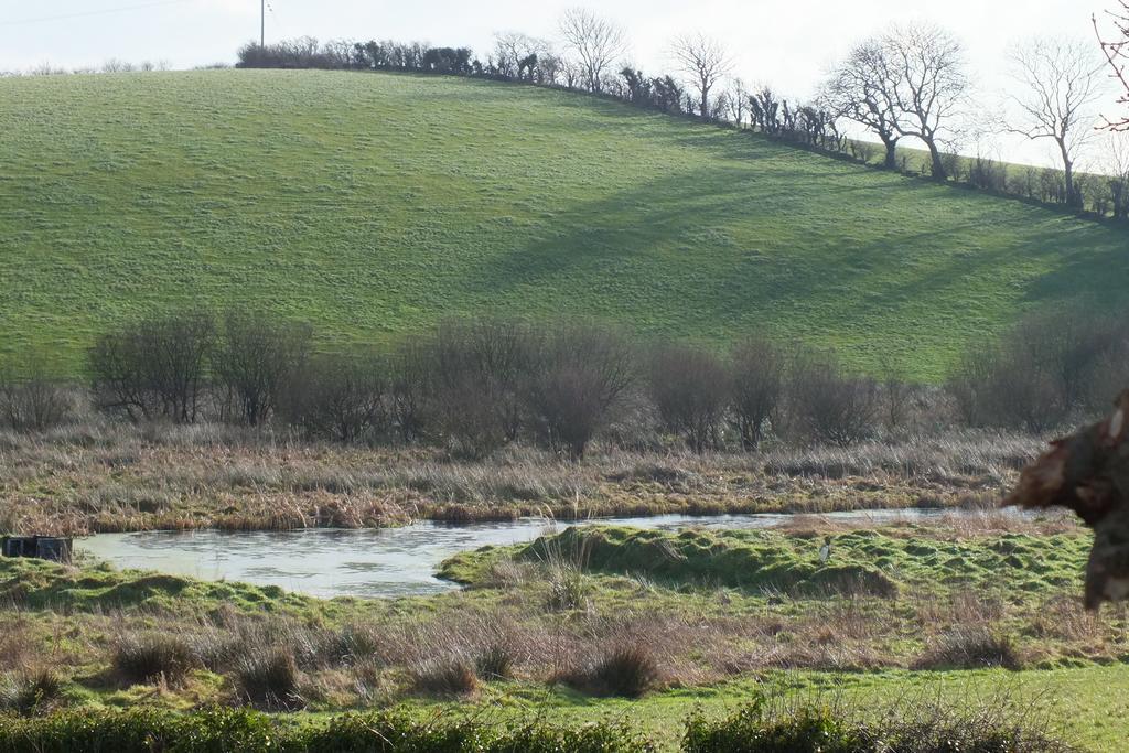 Barnwell Farm Cottages Corn Cottage Greyabbey Ruang foto
