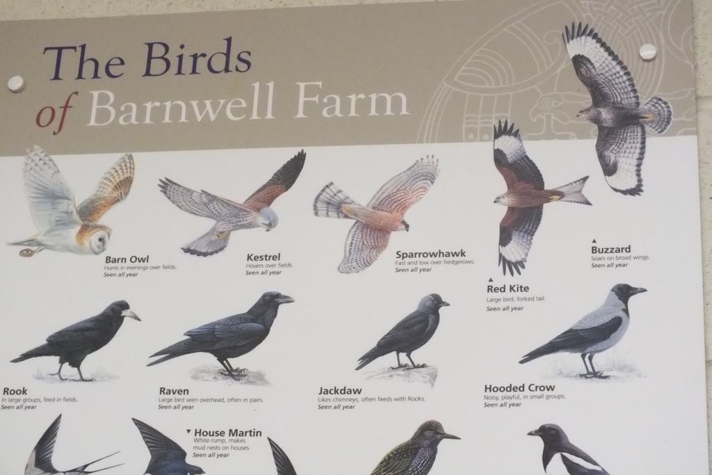 Barnwell Farm Cottages Corn Cottage Greyabbey Ruang foto